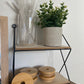 Bamboo Lids